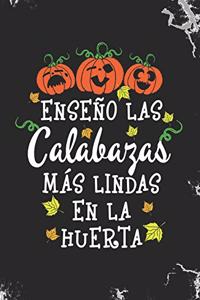 Enseno las calabazas mas lindas en la huerta