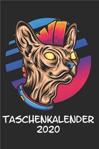 Taschenkalender 2020: Taschenkalender für Sept. 2019 bis Dezember 2020 A5 Terminplaner Wochenplaner Terminkalender Wochenkalender Organizer mit Punk Punker Katze Kätzchen