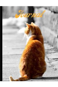 Cat Lover's Journal