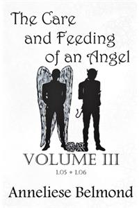 Care and Feeding of an Angel (Season One