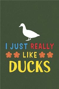 I Just Really Like Ducks