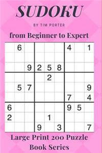 SUDOKU from Beginner to Expert