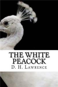 White Peacock