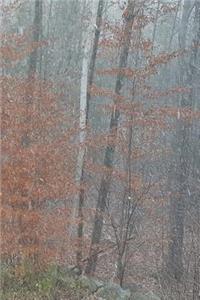 2019 Weekly Planner Autumn Woods Foggy Morning Late Fall Trees 134 Pages