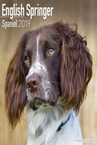English Springer Spaniel Calendar 2019