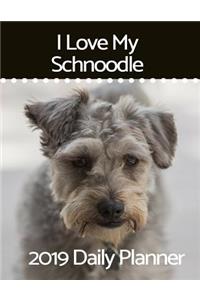 I Love My Schnoodle