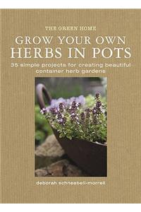Grow Your Own Herbis in Pots