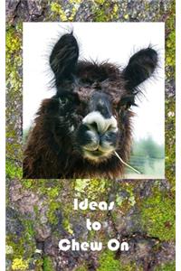 Ideas to Chew On