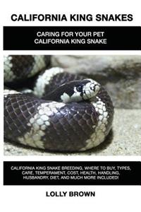 California King Snakes