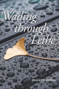 Wading through Lethe