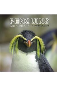 Penguins Calendar 2018