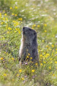 Marmot in a Wildflower Field Journal