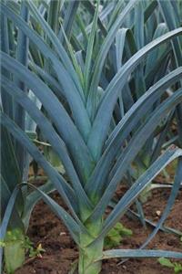 Cool Leek Field Journal