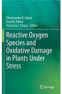 Reactive Oxygen Species and Oxidative Damage in Plants Under Stress