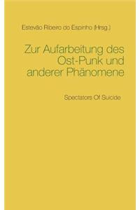 Zur Aufarbeitung des Ost-Punk und anderer Phänomene