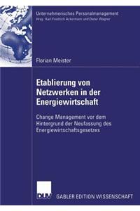 Etablierung Von Netzwerken in Der Energiewirtschaft