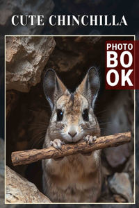 Cute Chinchilla Photo Book