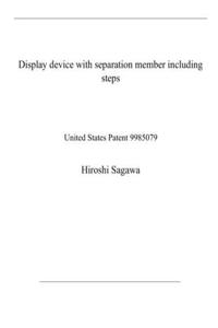 Display device with separation member including steps