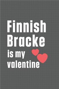 Finnish Bracke is my valentine