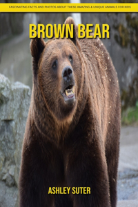 Brown Bear