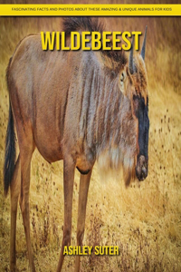 Wildebeest