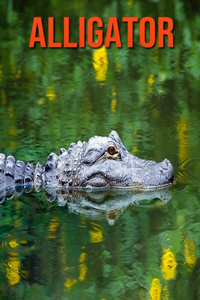 Alligator