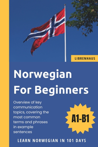 Norwegian For Beginners