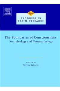 The Boundaries of Consciousness