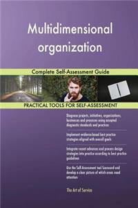 Multidimensional organization Complete Self-Assessment Guide