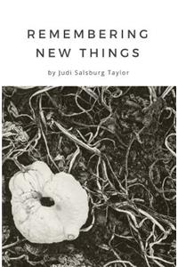 Remembering New Things
