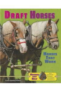 Draft Horses