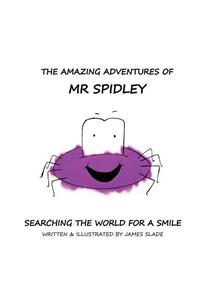 The Amazing Adventures of Mr Spidey