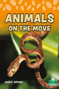 Animals on the Move