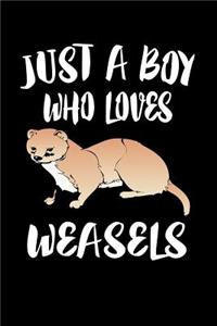 Just A Boy Who Loves Weasels