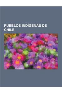 Pueblos Indigenas de Chile
