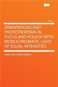 Orientations and Phototropisms in Fucus and Volvox with Monochromatic Light of Equal Intensities