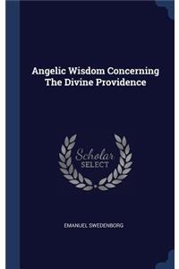 Angelic Wisdom Concerning The Divine Providence