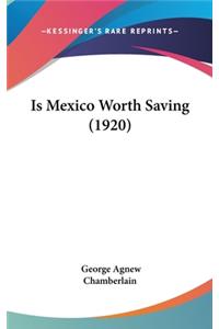 Is Mexico Worth Saving (1920)