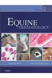 Equine Dermatology