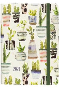 2021 Watercolor Succulents Weekly Planner