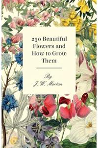 250 Beautiful Flowers and How to Grow Them