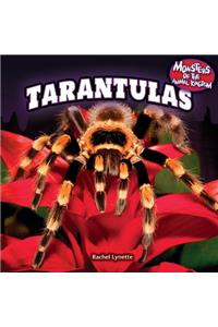 Tarantulas