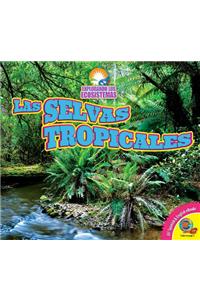 Selvas Tropicales