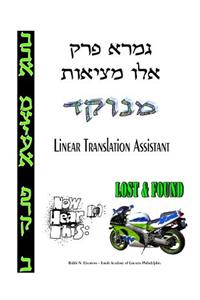 Ailu Metzios - Linear Translation Assistant
