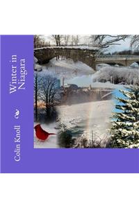 Winter in Niagara