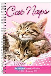 Cat Naps 2018 Calendar