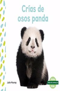 Crias de Osos Panda (Panda Cubs)