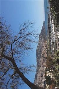 Funchal Capital Island of Madeira Portugal Journal: 150 Page Lined Notebook/Diary