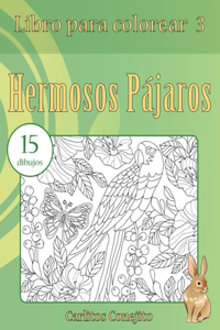 Libro para colorear Hermosos Pájaros