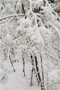 Winter Day Picture Journal